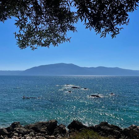Tekada Hotel & Restaurant Vlorë 외부 사진