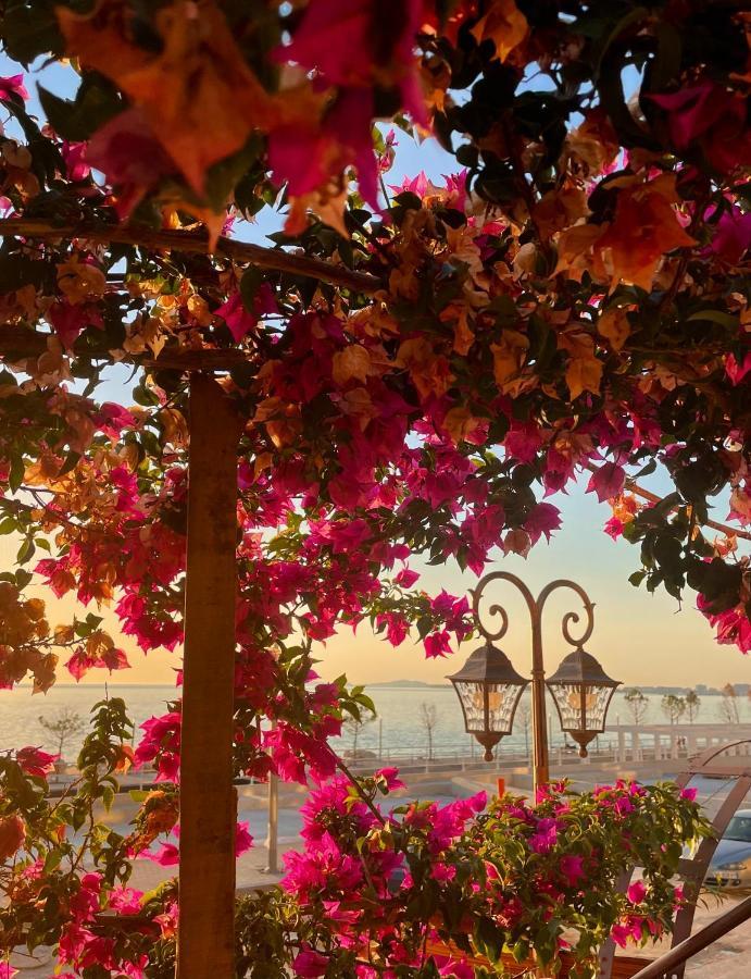Tekada Hotel & Restaurant Vlorë 외부 사진