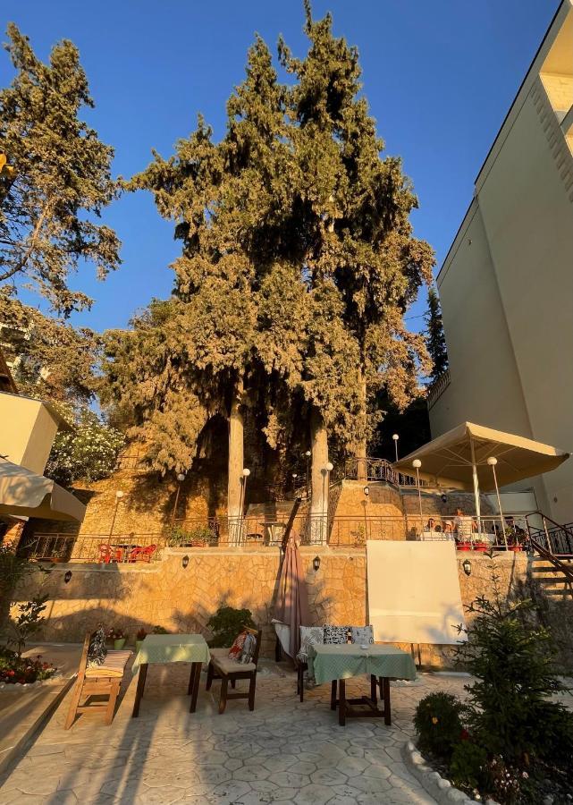 Tekada Hotel & Restaurant Vlorë 외부 사진